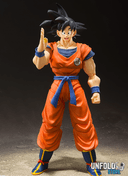 Goku de Dragon Ball - Unfold Store